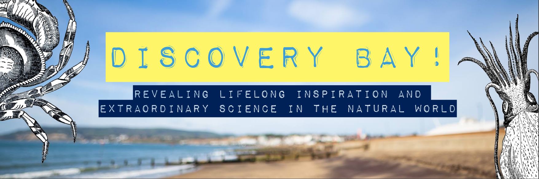 discovery bay header